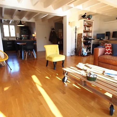 Apartment Loft Lumineux Goya